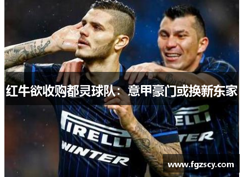 红牛欲收购都灵球队：意甲豪门或换新东家